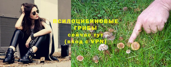 крисы Елизово
