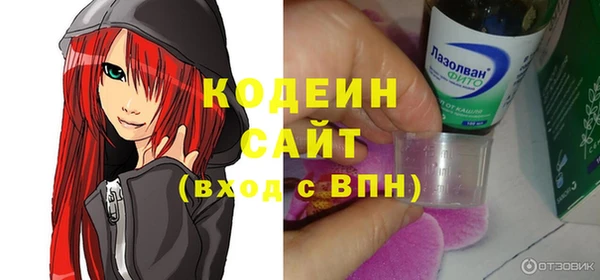 крисы Елизово