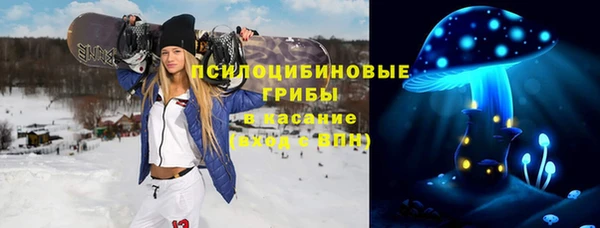 крисы Елизово