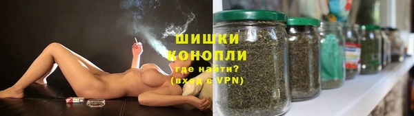 крисы Елизово