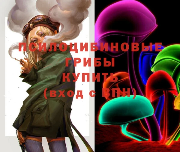 бутират Ельня