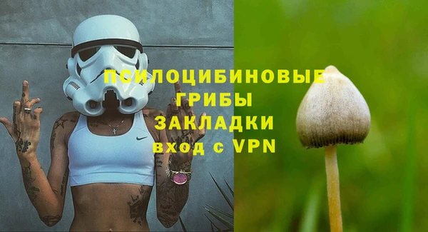 крисы Елизово
