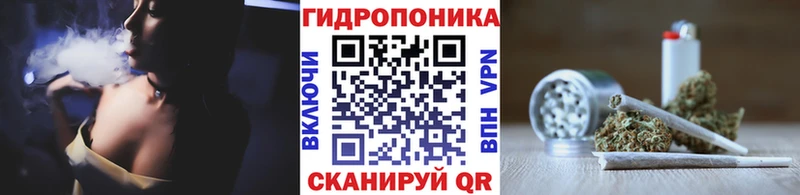 Купить  Миллерово  Конопля сатива 
